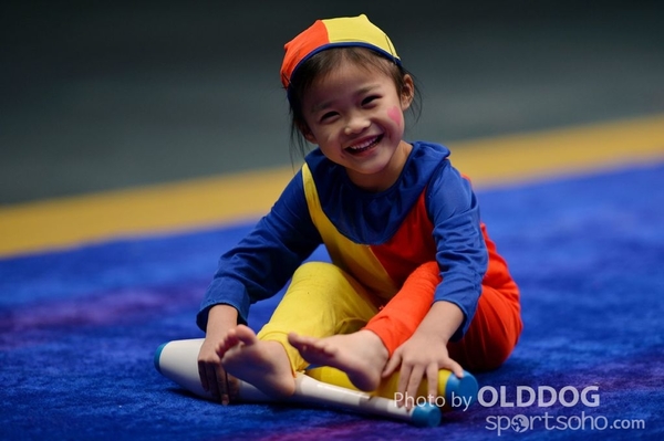 Gymnastics (656)