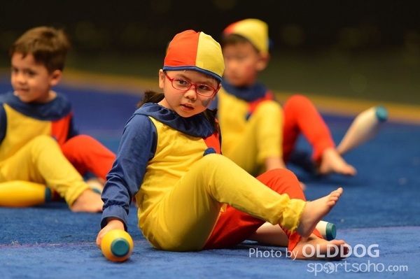 Gymnastics (668)