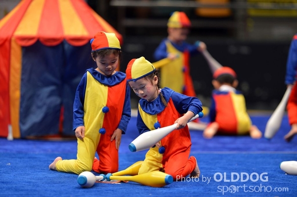 Gymnastics (669)