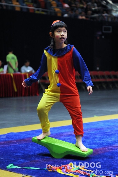 Gymnastics (672)