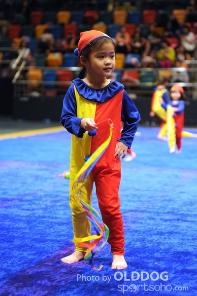 Gymnastics (674)