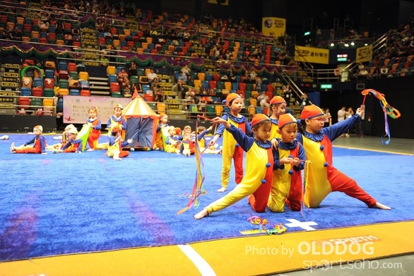 Gymnastics (677)