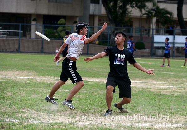 DSC_1227_副本