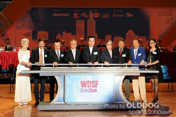 WDSFd1P (8)