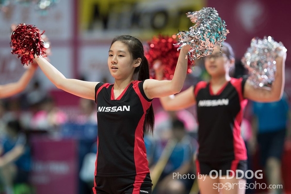 Volleyball D2 (26)