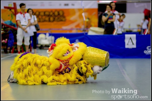 2016-07-03 Lion Dance 0007