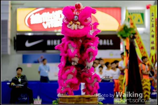2016-07-03 Lion Dance 0015