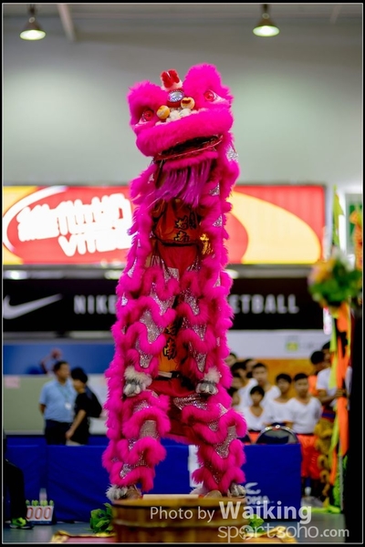 2016-07-03 Lion Dance 0016