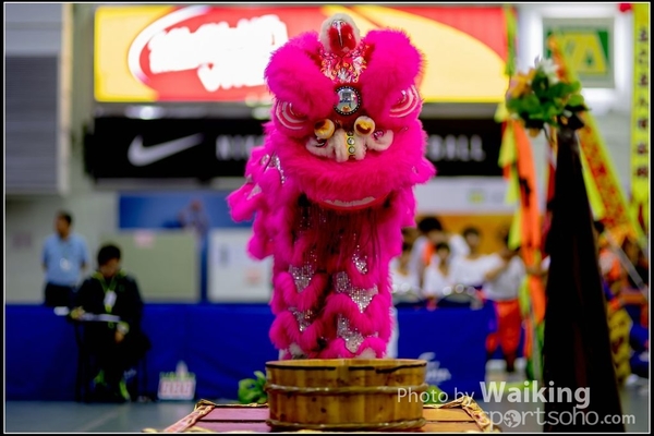 2016-07-03 Lion Dance 0017