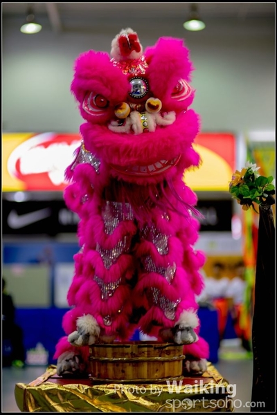 2016-07-03 Lion Dance 0019