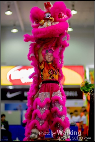 2016-07-03 Lion Dance 0020