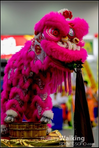 2016-07-03 Lion Dance 0021
