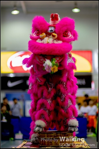 2016-07-03 Lion Dance 0022