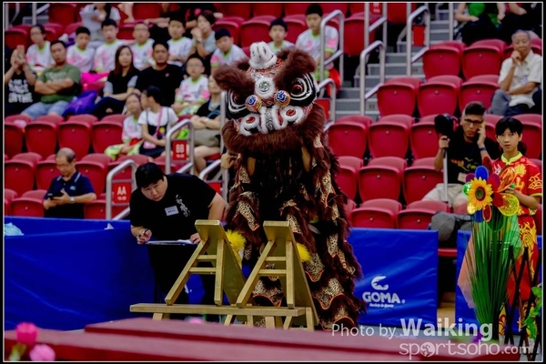 2016-07-03 Lion Dance 0026