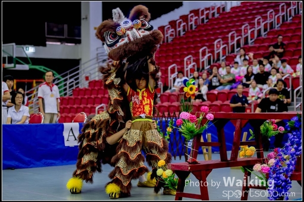 2016-07-03 Lion Dance 0027