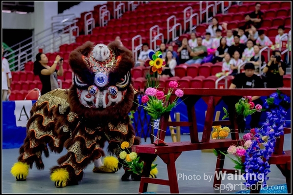 2016-07-03 Lion Dance 0028
