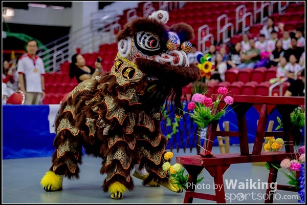 2016-07-03 Lion Dance 0029