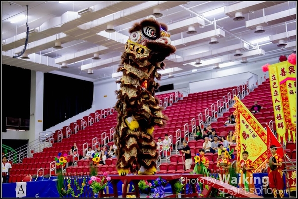 2016-07-03 Lion Dance 0030