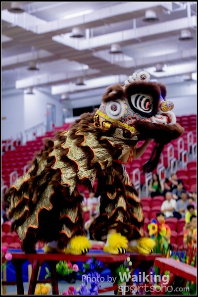 2016-07-03 Lion Dance 0031