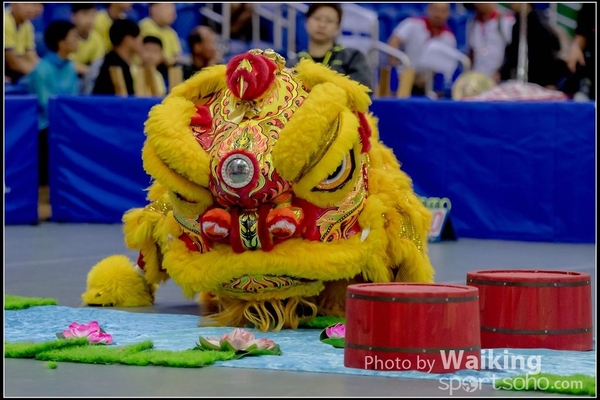 2016-07-03 Lion Dance 0043