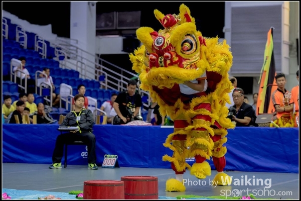 2016-07-03 Lion Dance 0046