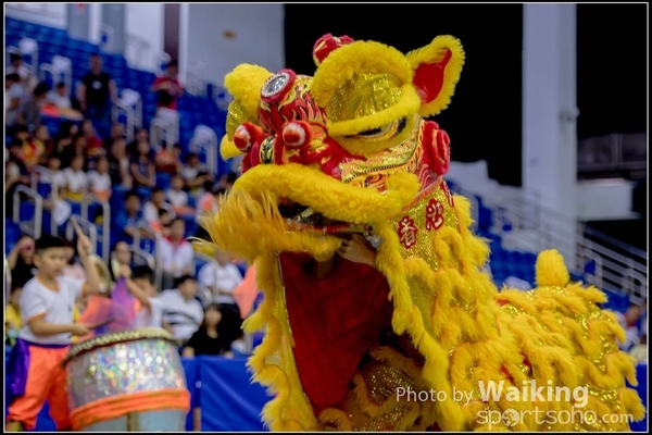 2016-07-03 Lion Dance 0048
