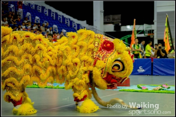 2016-07-03 Lion Dance 0049