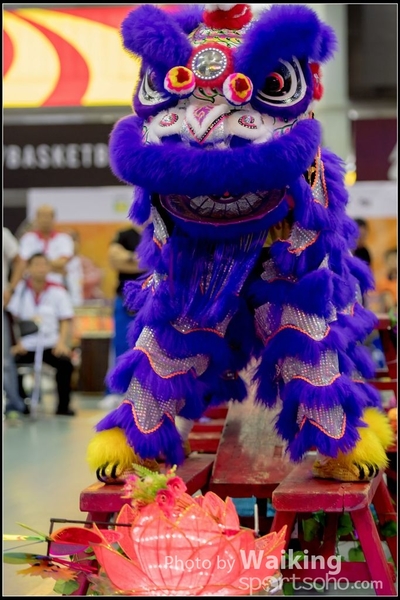 2016-07-03 Lion Dance 0083