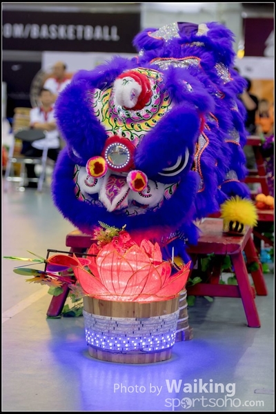 2016-07-03 Lion Dance 0084