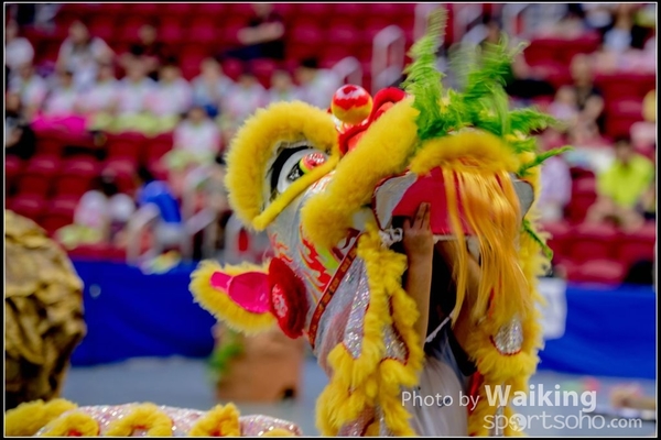 2016-07-03 Lion Dance 0091