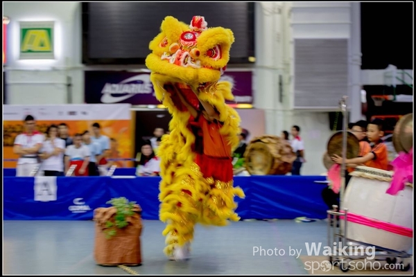 2016-07-03 Lion Dance 0092