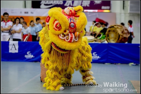 2016-07-03 Lion Dance 0093