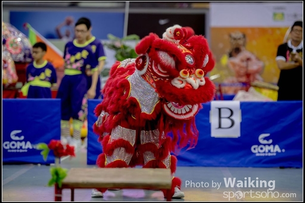 2016-07-03 Lion Dance 0095