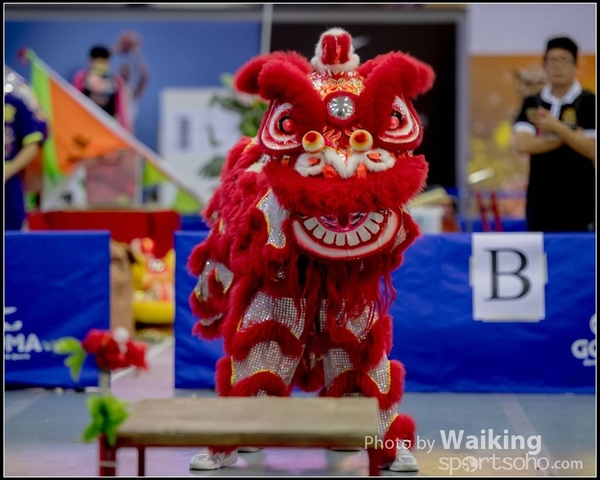 2016-07-03 Lion Dance 0096