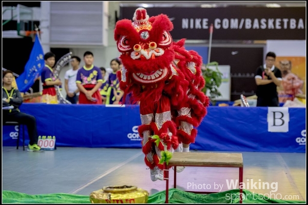 2016-07-03 Lion Dance 0098