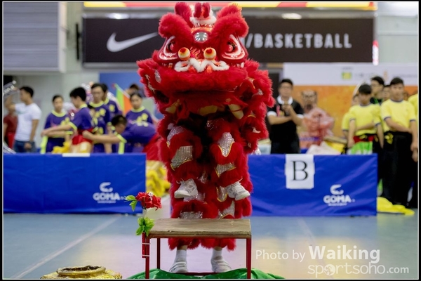 2016-07-03 Lion Dance 0099
