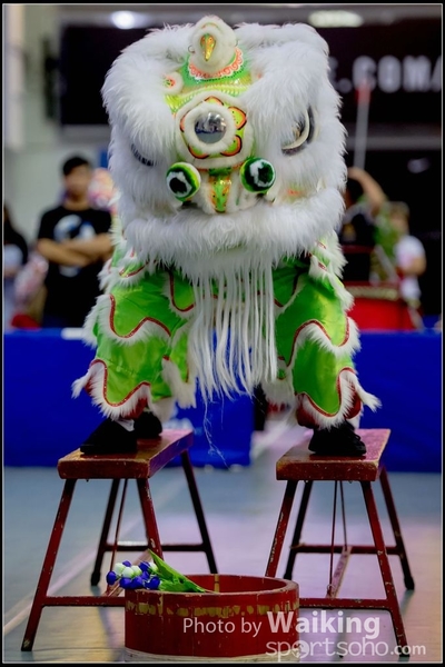 2016-07-03 Lion Dance 0107