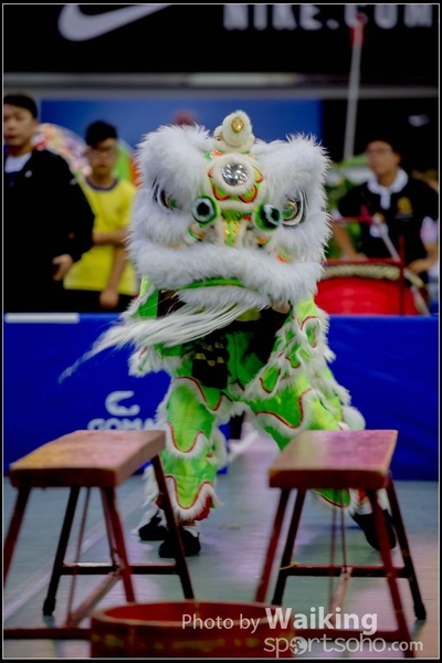 2016-07-03 Lion Dance 0108