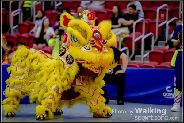 2016-07-03 Lion Dance 0114
