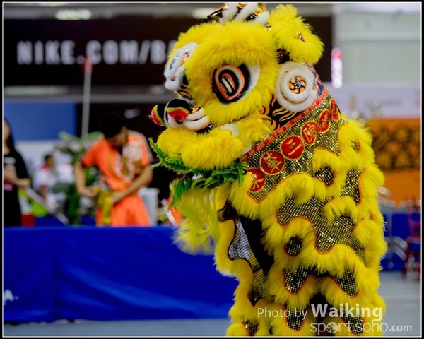 2016-07-03 Lion Dance 0119