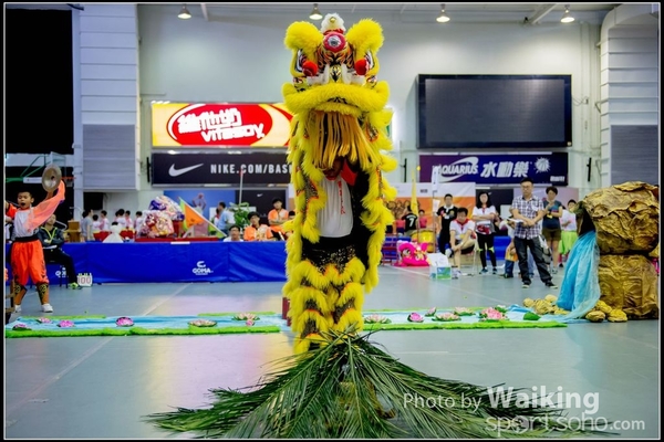 2016-07-03 Lion Dance 0129