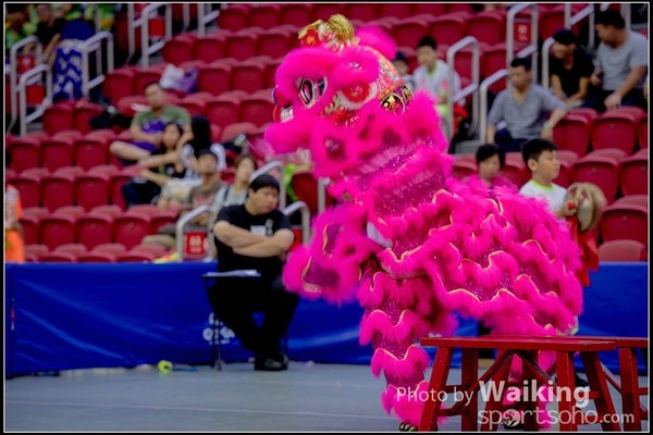 2016-07-03 Lion Dance 0133