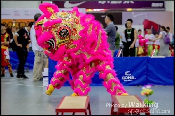 2016-07-03 Lion Dance 0135