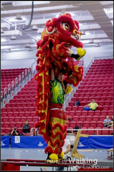 2016-07-03 Lion Dance 0142