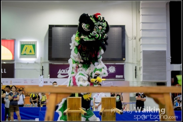 2016-07-03 Lion Dance 0145