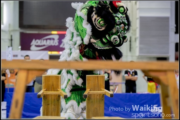 2016-07-03 Lion Dance 0148