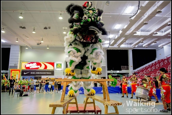 2016-07-03 Lion Dance 0154
