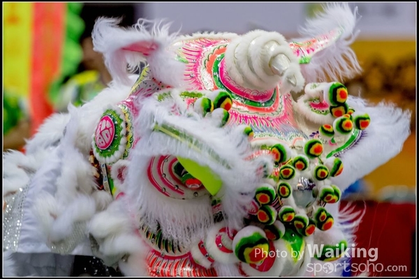 2016-07-03 Lion Dance 0169