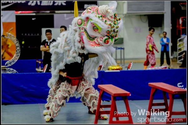 2016-07-03 Lion Dance 0172
