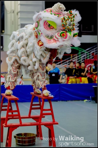 2016-07-03 Lion Dance 0173